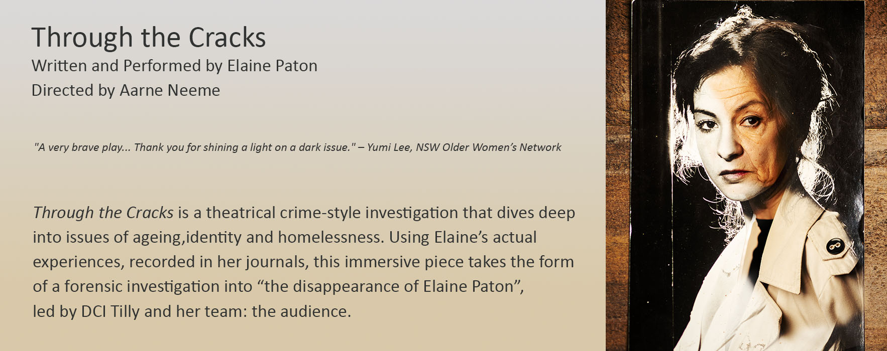 Elaine Through the Cracks Header 2022